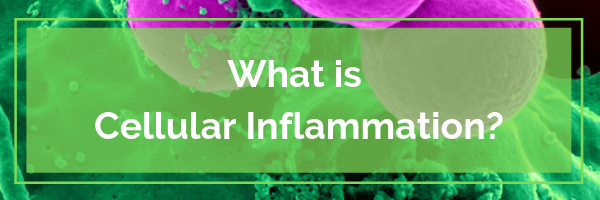 Neuravite Beat Cellular Inflammation Now! – Neuravite